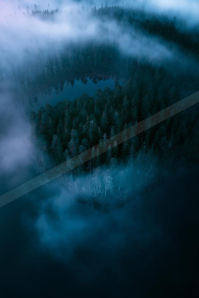 A blue hour water scene of lake, forest, mountains.