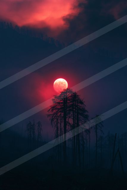 A vibrant red moon rises above a dark forest silhouette against a dramatic sky.