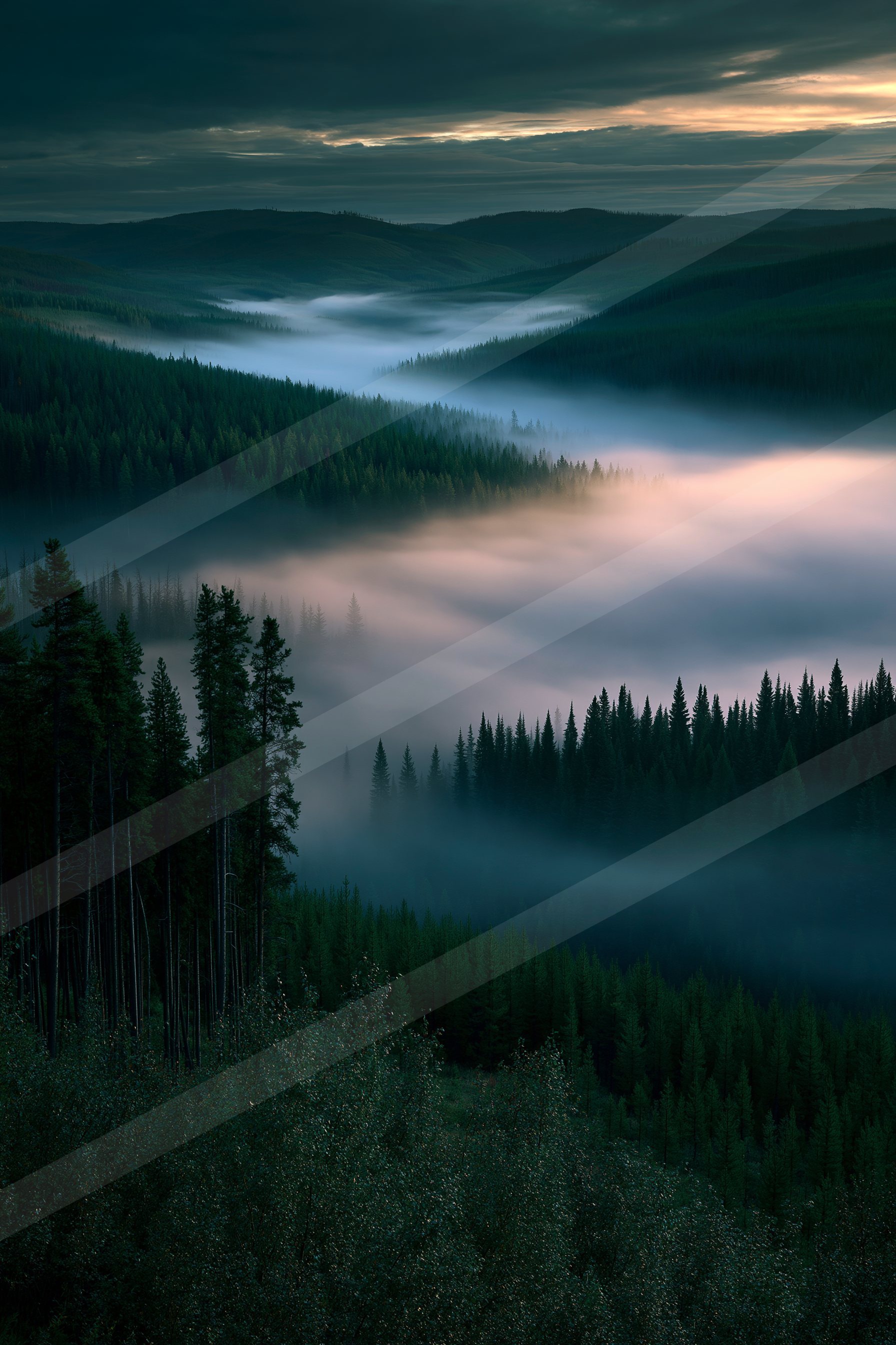 A mysterious panorama landscape of a valley, fog.