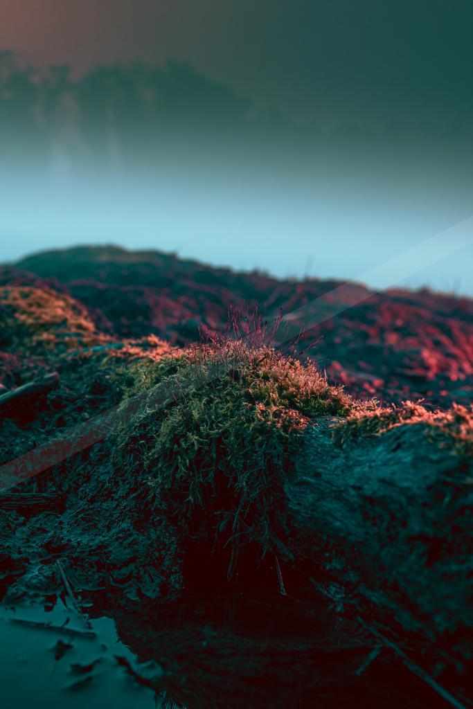 A moody nature scene of forest, mountains, field.