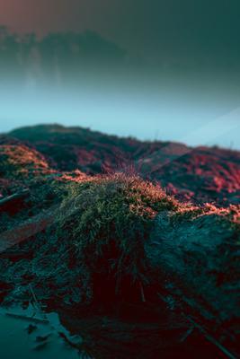 A moody nature scene of forest, mountains, field.