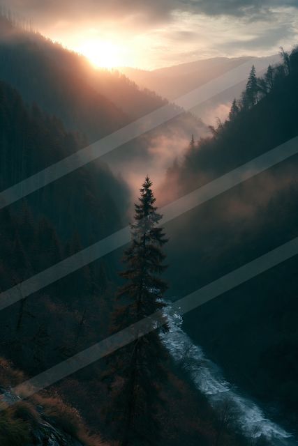 An ethereal high contrast sky scene of a sunrise, fog.
