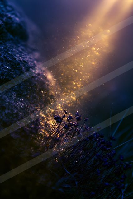 An ethereal soft focus sky scene of a sunbeams, dust.