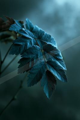 A blue hour nature scene of plants, flowers.