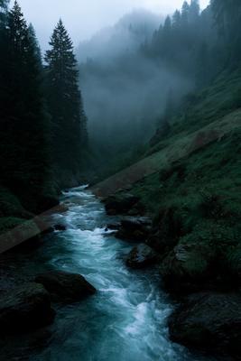 A fast-flowing turquoise river winds through a misty, densely forested mountain valley with tall evergreen trees and moss-covered rocks under heavy fog.