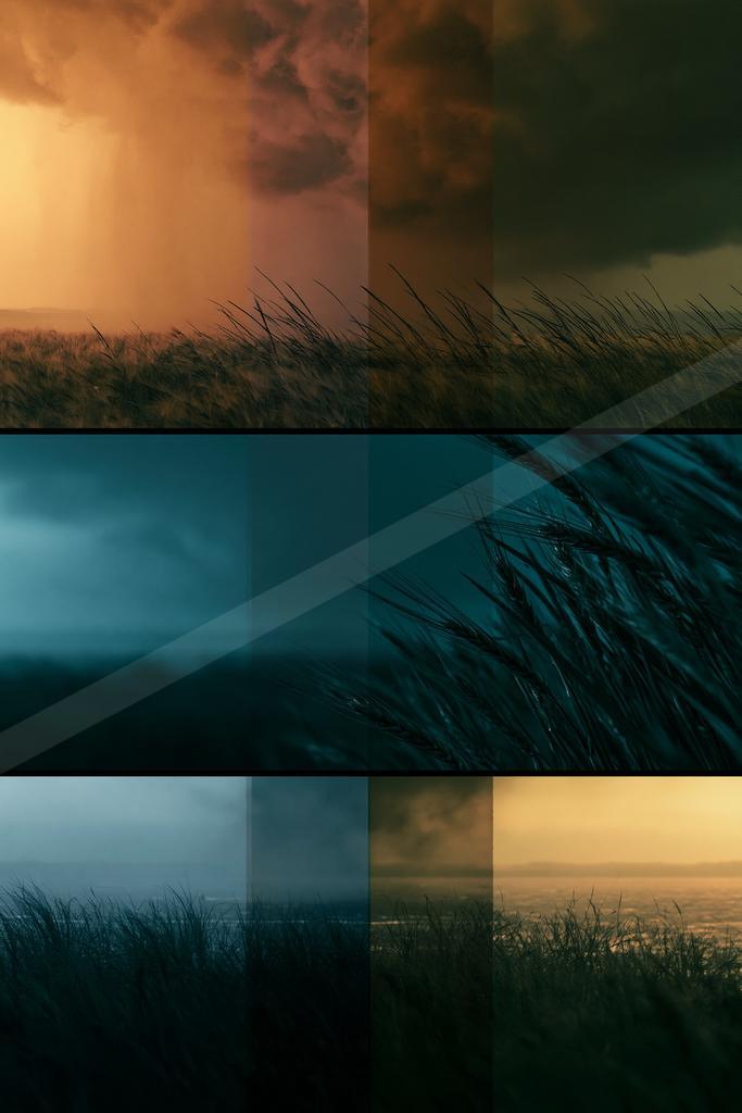 A blue hour minimalist landscape of field, ocean, beach.