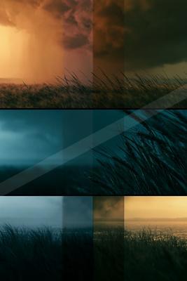 A blue hour minimalist landscape of field, ocean, beach.