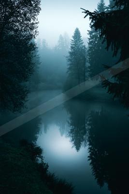 A mysterious high contrast water scene of a pond, fog.