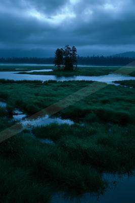 A black-toned moody photograph of lakeside, sandbar, african elephant.