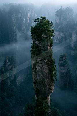 A moody landscape of mountains, trees, fog.