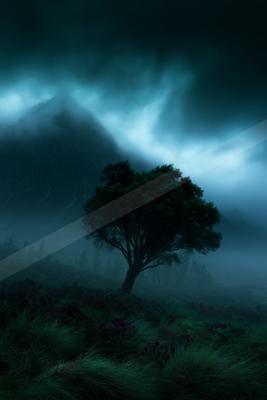 A solitary tree stands on a grassy hillside covered in heather under a dramatic, foggy mountain range with swirling blue mist and dark clouds.