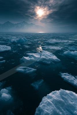 A green-toned moody photograph of volcano, wing, ice bear.