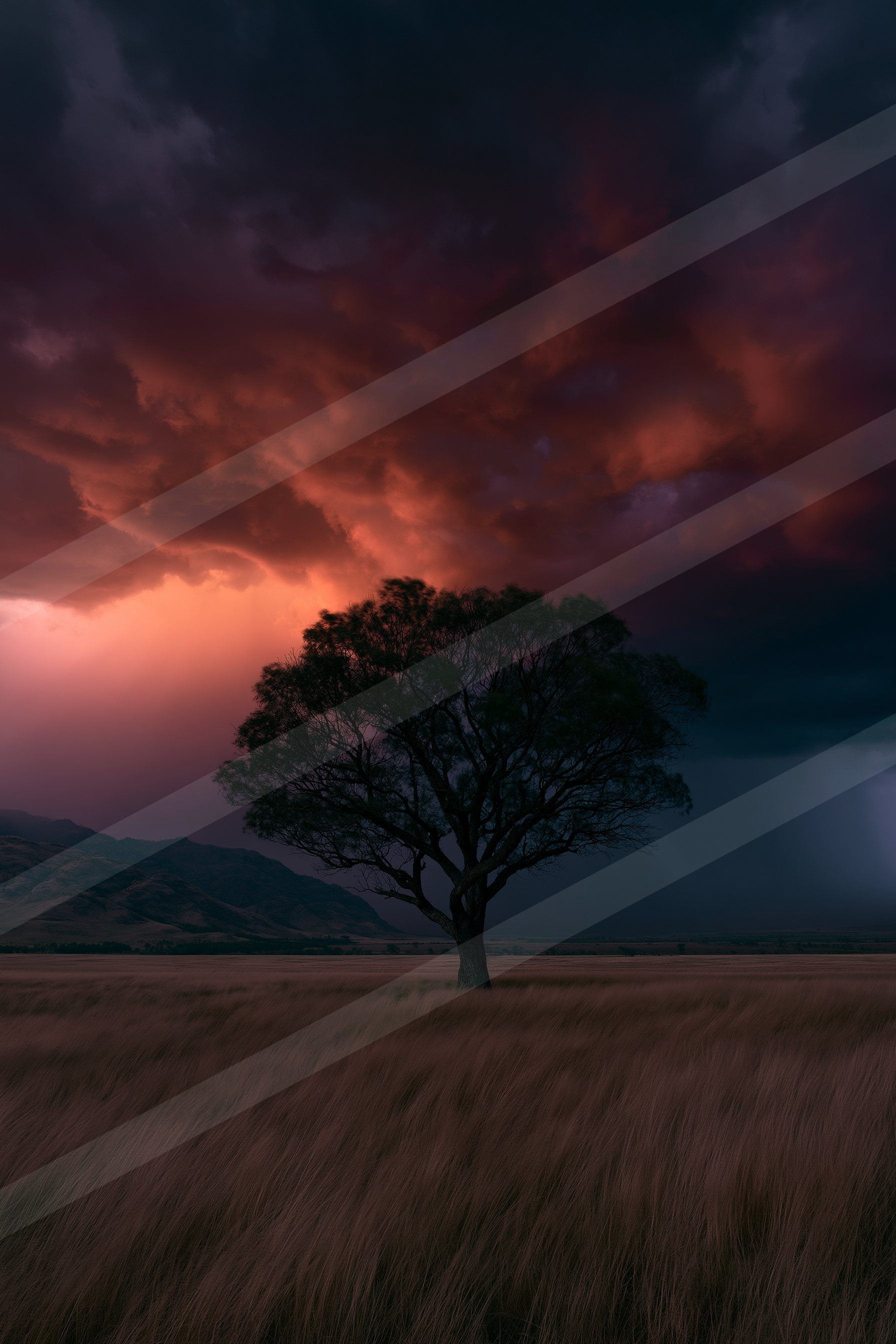 A lone tree stands stark against a backdrop of fiery red and dark storm clouds during sunset, casting long shadows over golden grass.