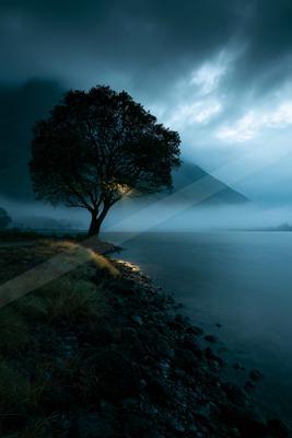 A solitary tree stands on a rocky lakeshore with mist rising from the water under a dramatic cloudy sky at dawn, with light breaking through the branches.