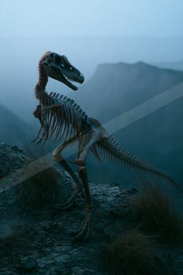A moody wildlife photo of wildlife.