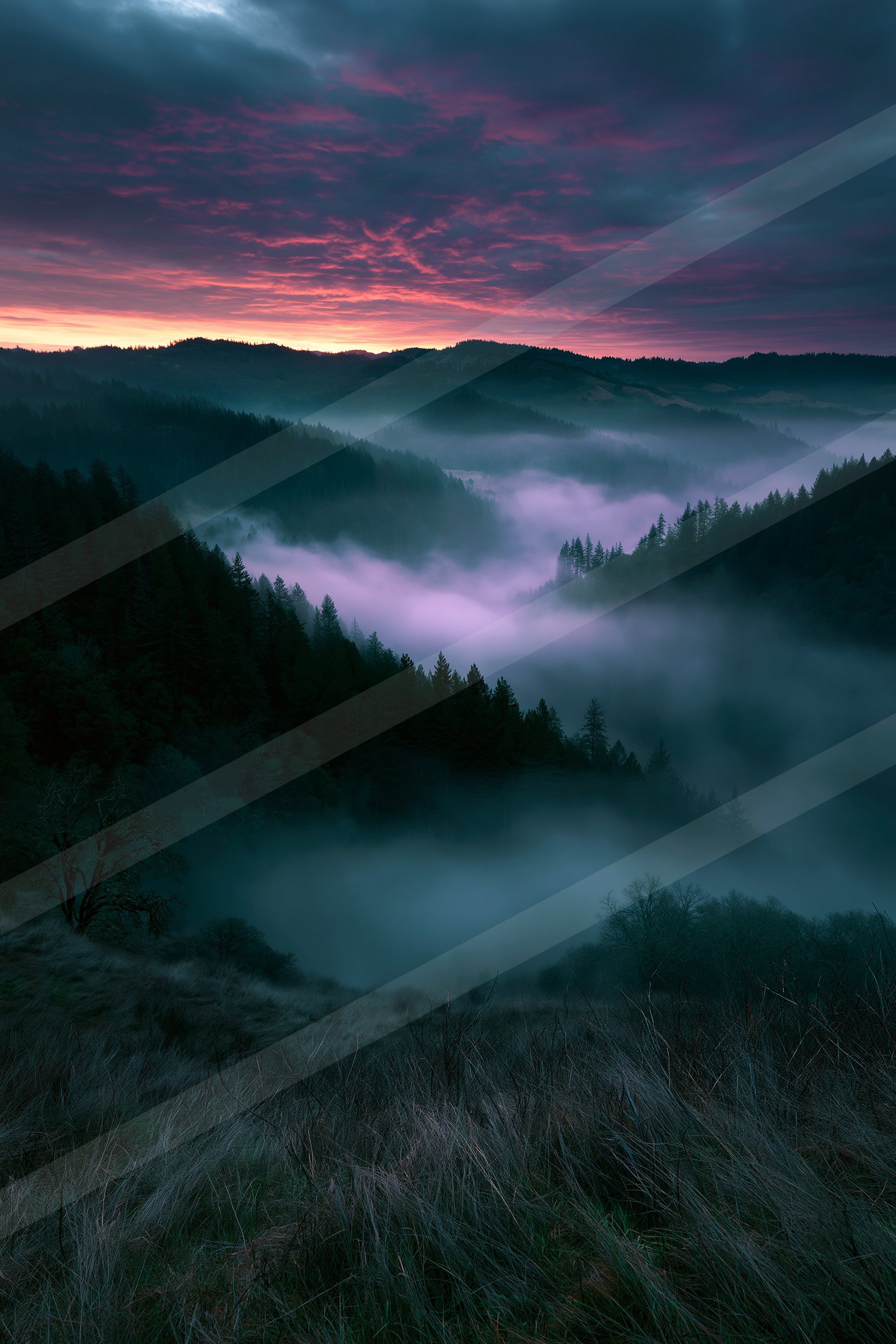 A mysterious panorama landscape of a rolling hills, fog.