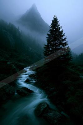 A fast-flowing stream rushes over rocks through a misty, mountainous landscape, with a tall evergreen tree standing prominently on the right and jagged peaks sh