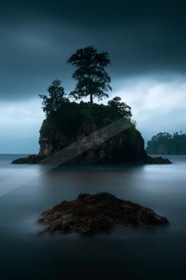 A rocky island covered in green vegetation and a prominent lone tree rises from a calm, misty sea under a dark, overcast sky, with a foreground rock in the wate