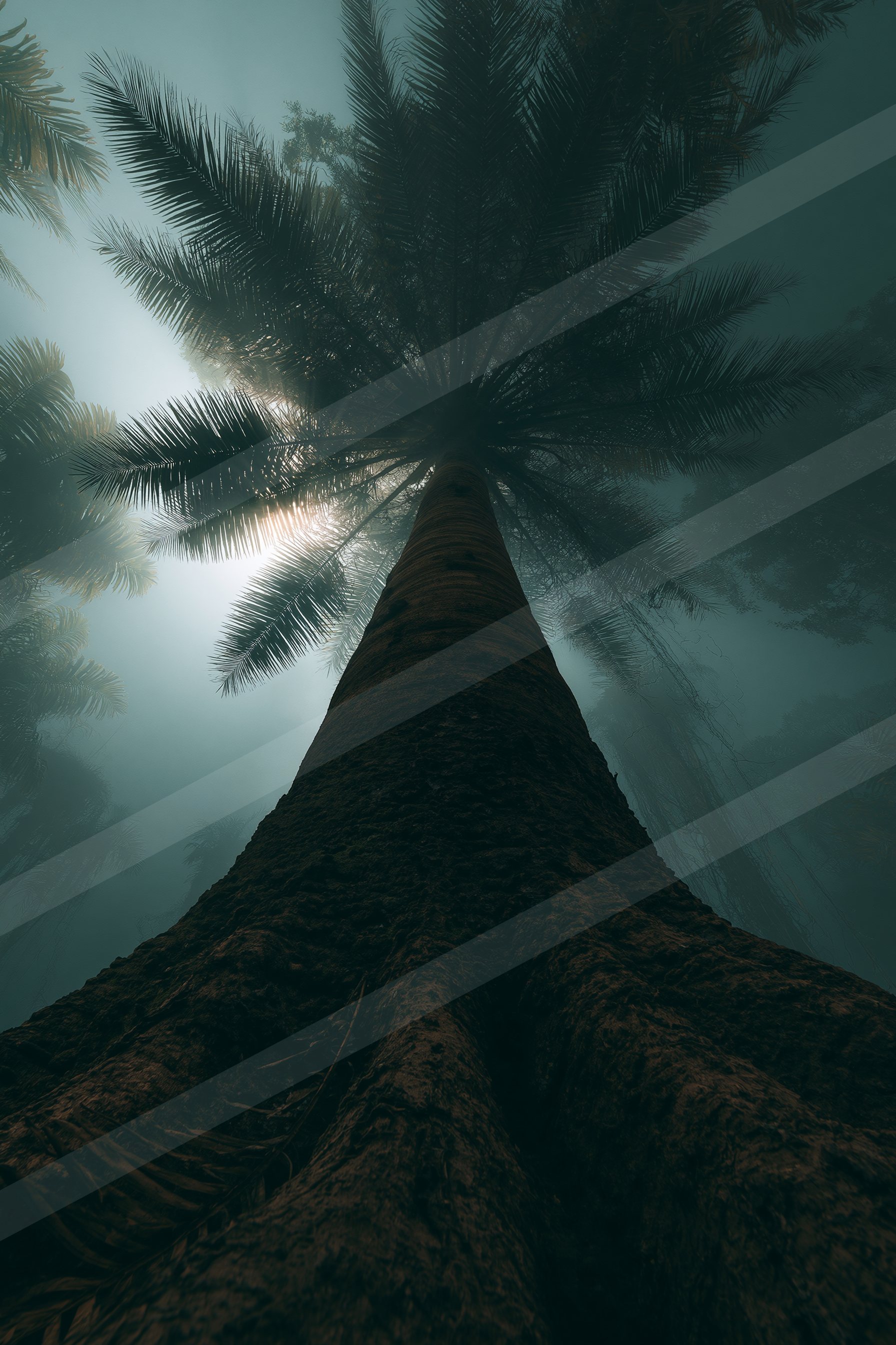 A towering palm tree dominates the frame, its trunk and fronds reaching towards a hazy sky as sunlight filters through the mist.