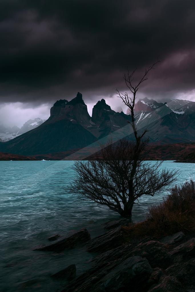 A night sky scene of storm, trees, mountains.