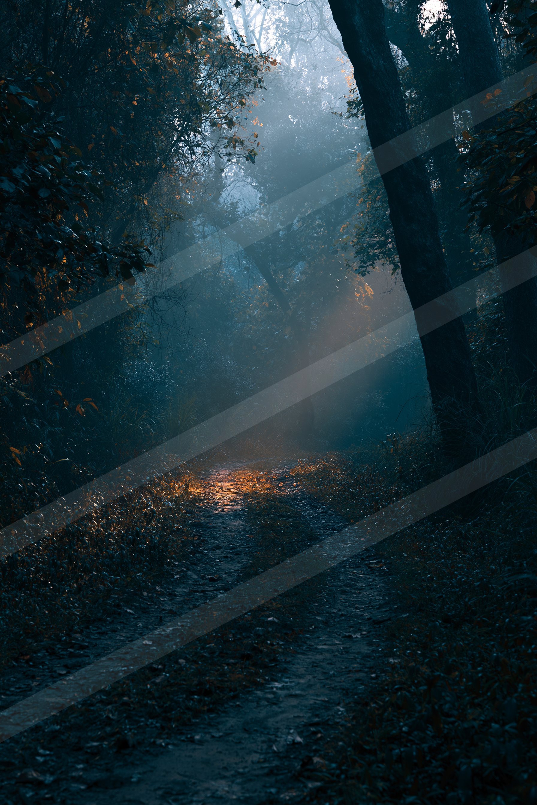 A mysterious high contrast sky scene of a sunbeams, fog.