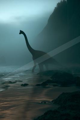 A moody wildlife photo of wildlife.