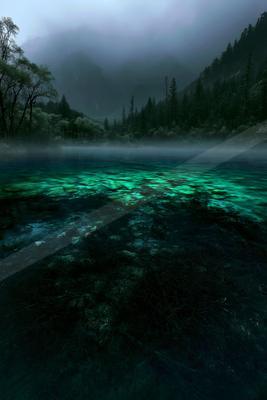 A night water scene of lake, river, ocean.