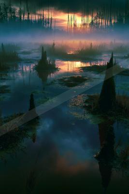 A serene water scene of lake, river, forest.