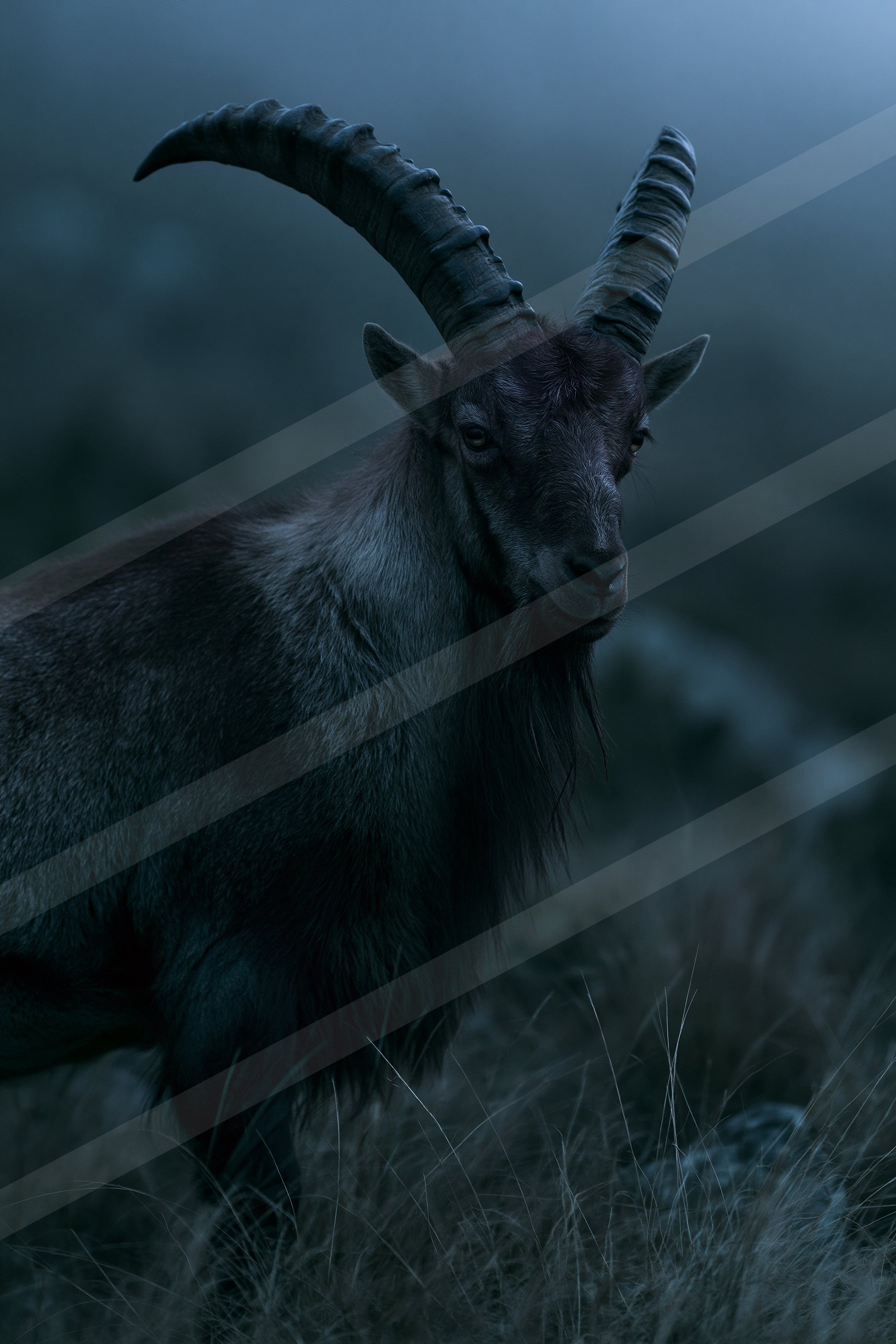 Deer.