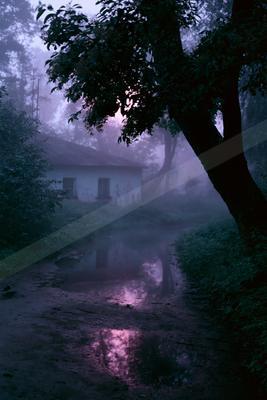 A misty dirt path with puddles reflecting purple light leads toward an old white house surrounded by dense, foggy forest at twilight.