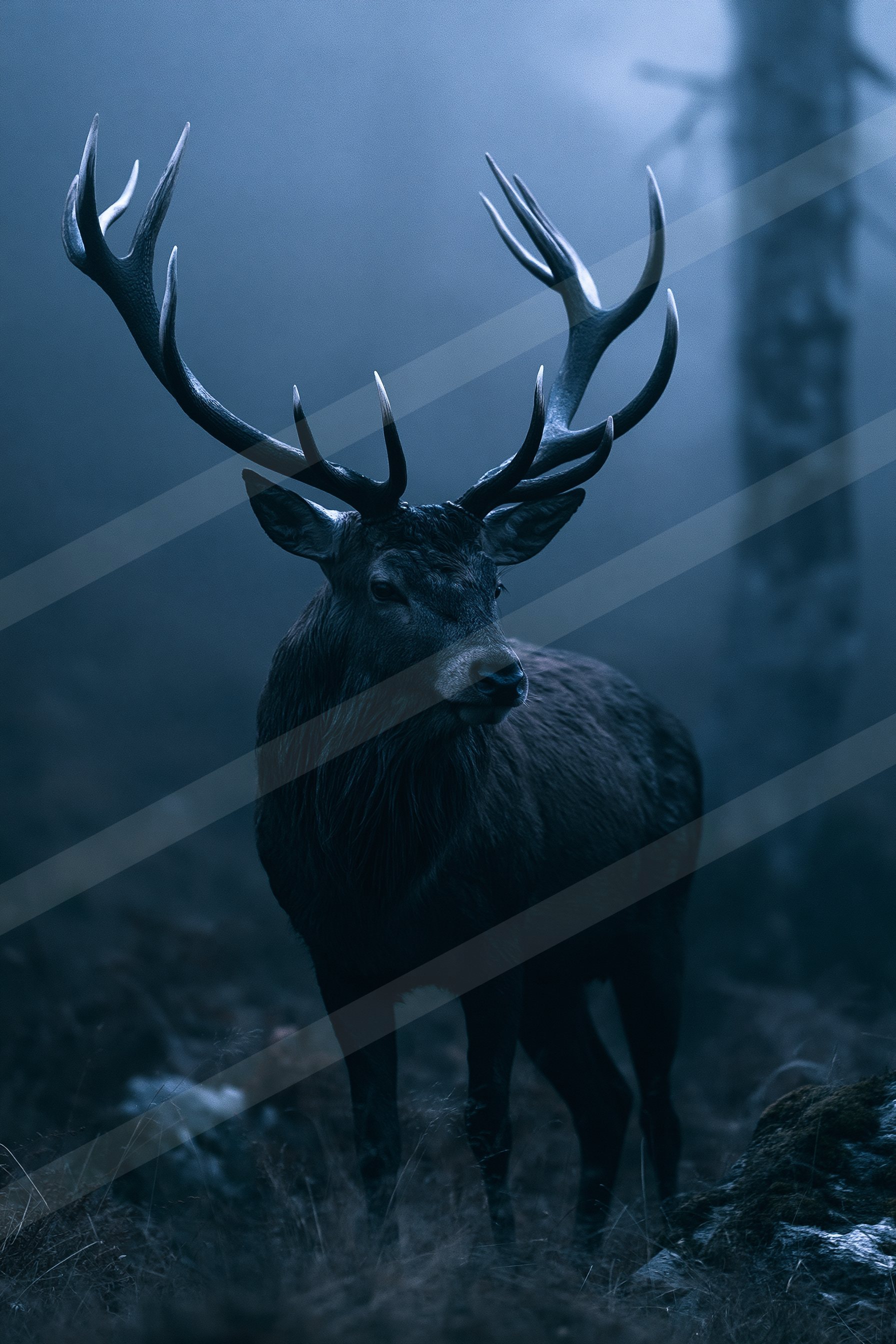 A powerful stag with large antlers stands prominently in a misty, forested environment under low-light conditions.