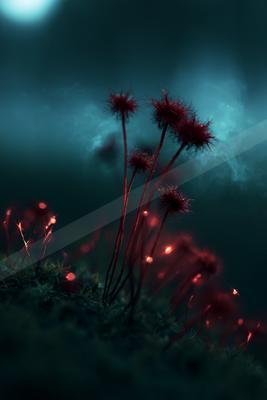 A night nature scene of flowers.