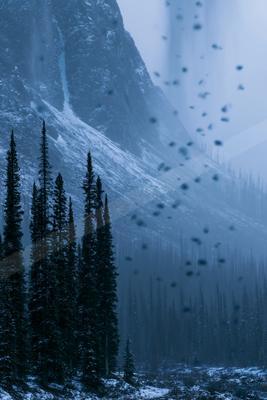 A bright landscape of mountains, forest.