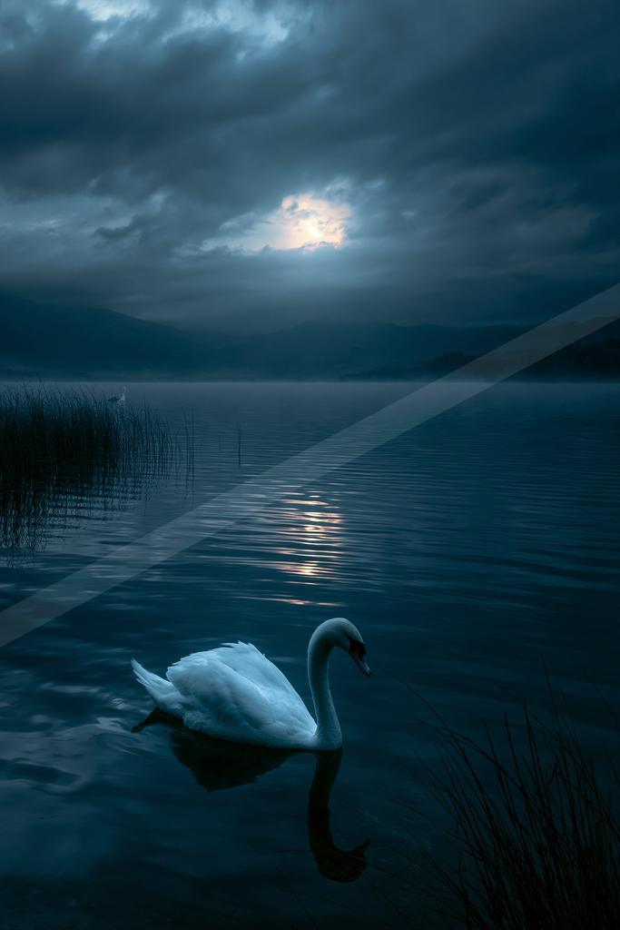 A serene water scene of lake.