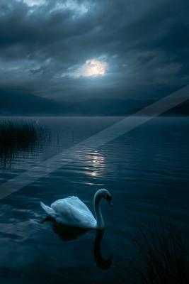 A serene water scene of lake.