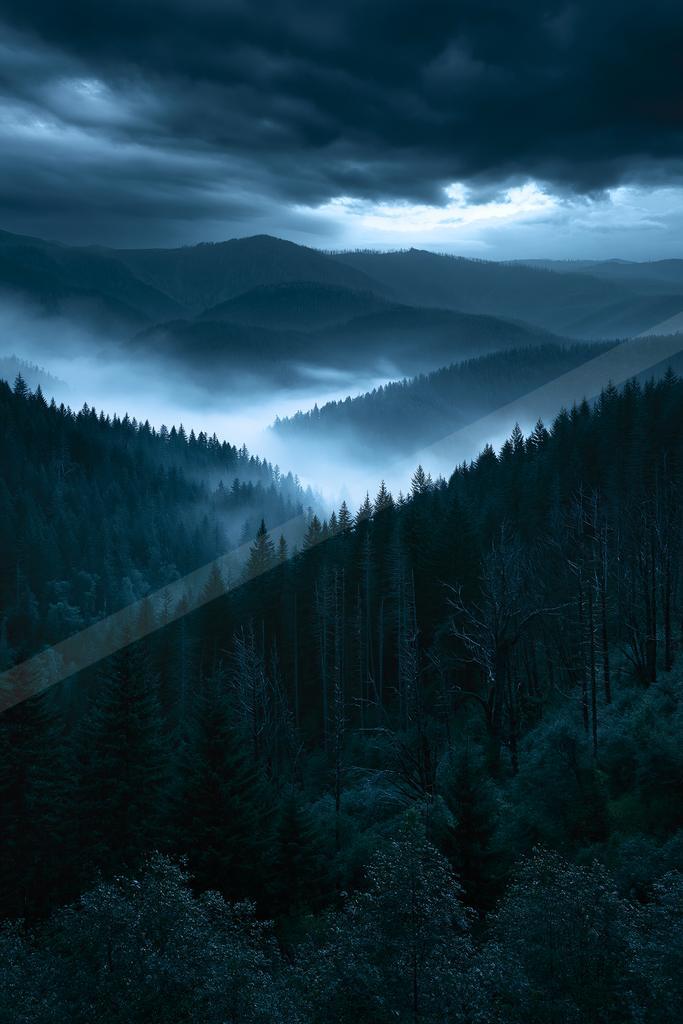A mysterious high contrast landscape of a valley, fog.