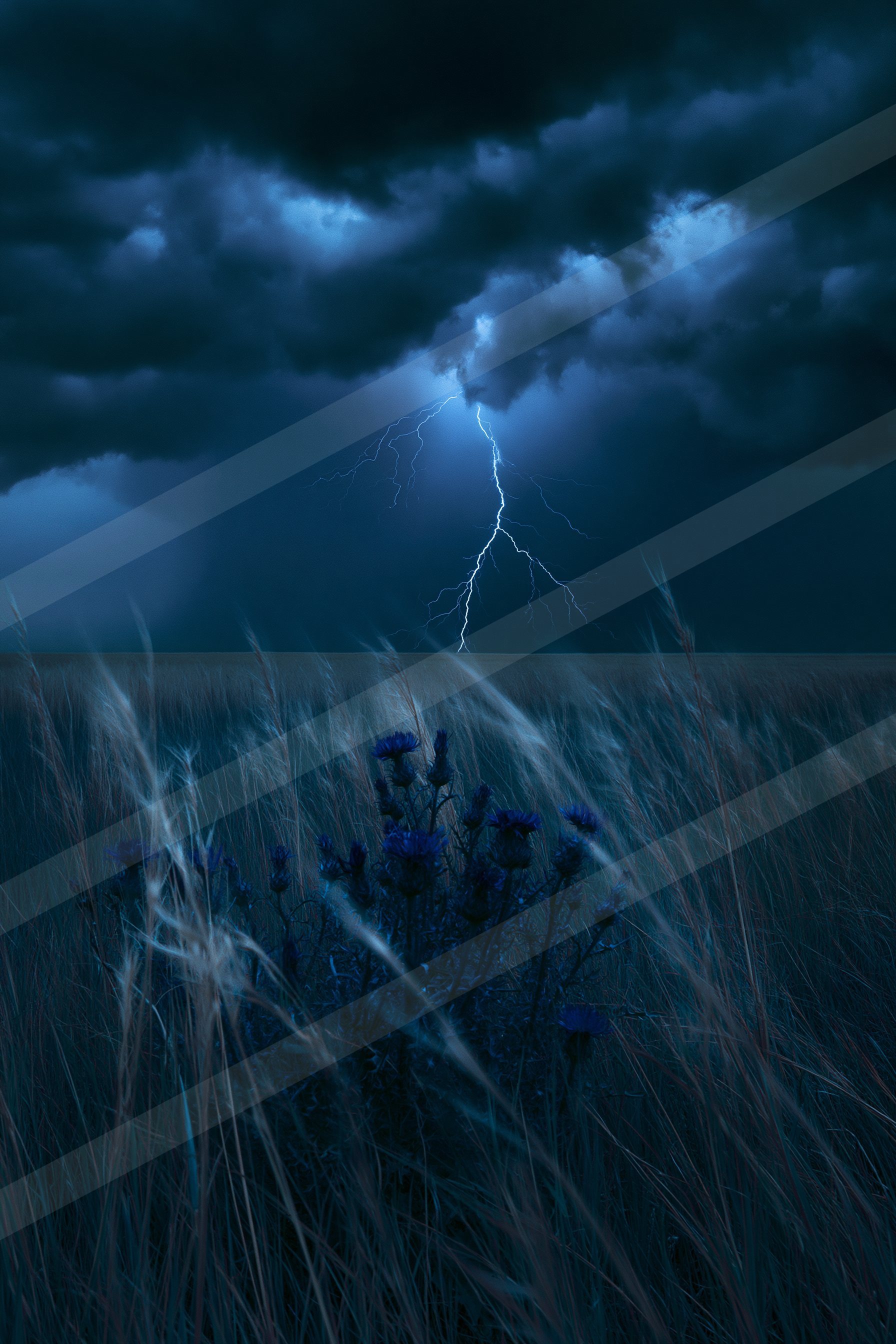 A night sky scene of a lightning.