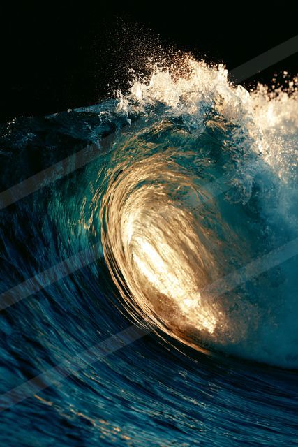 A powerful ocean wave curling inward under the warm glow of sunset light.