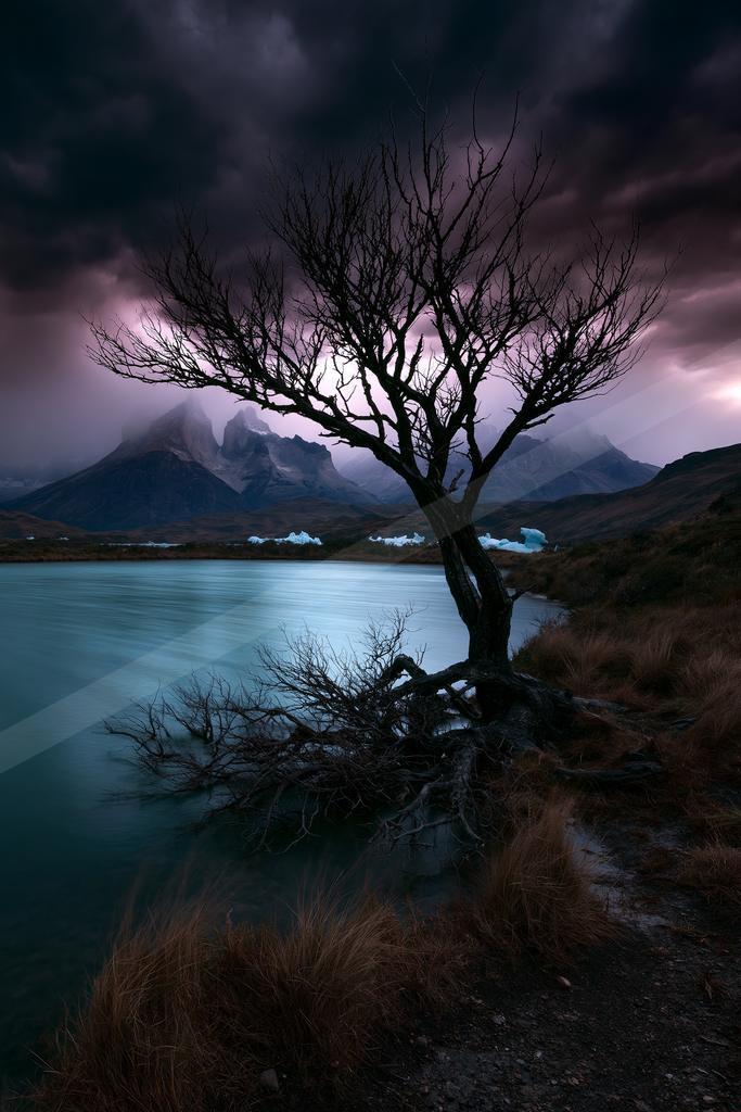 A night sky scene of storm, trees.