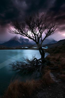 A night sky scene of storm, trees.
