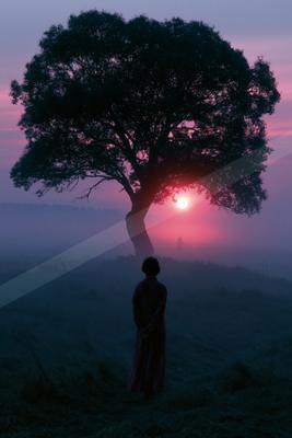 A person in a long coat stands in a foggy field looking toward a large silhouetted tree with the sun glowing red behind it at sunrise.
