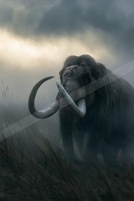 A bright wildlife photo of wildlife.