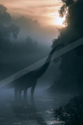 A moody wildlife photo of wildlife.