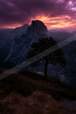 A lone pine tree stands on a grassy ridge in the foreground, with a massive granite mountain peak rising behind it under a vibrant purple, pink, and orange suns