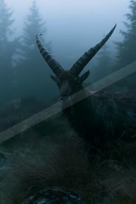 A black-toned moody photograph of ibex, gazelle, hartebeest.
