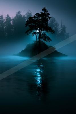A night water scene of lake, trees, fog.