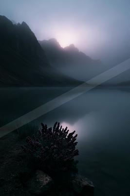 A serene mountain lake shrouded in thick fog at dusk, with a flowering bush and rocks in the foreground and dramatic peaks in the background.