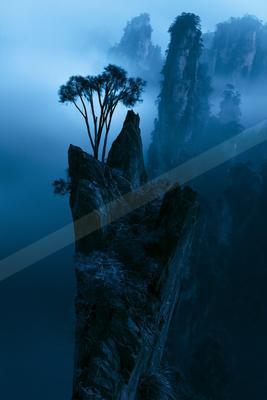 A blue hour nature scene of trees, mountains, valley.