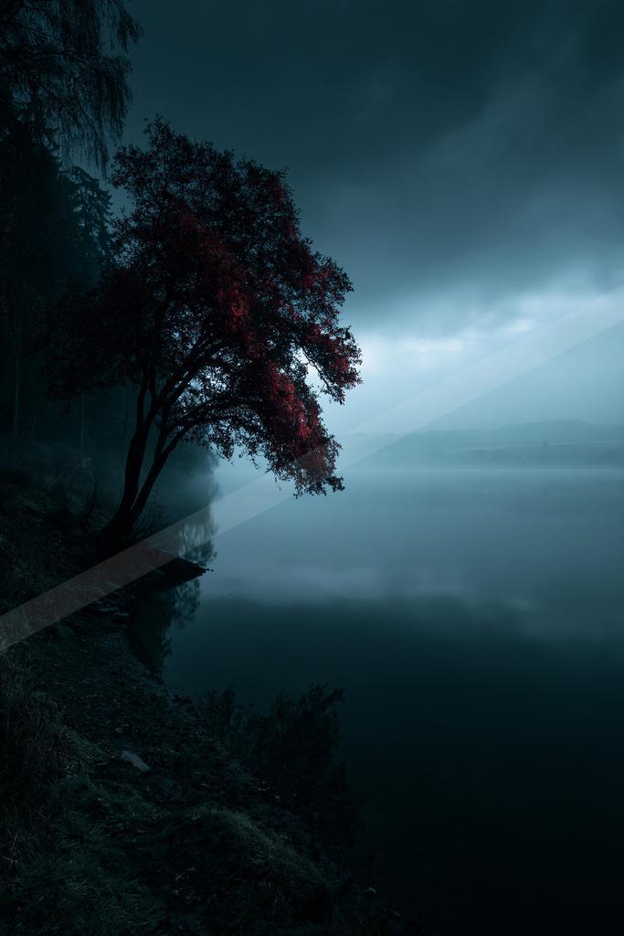 A night nature scene of trees, lake, fog.