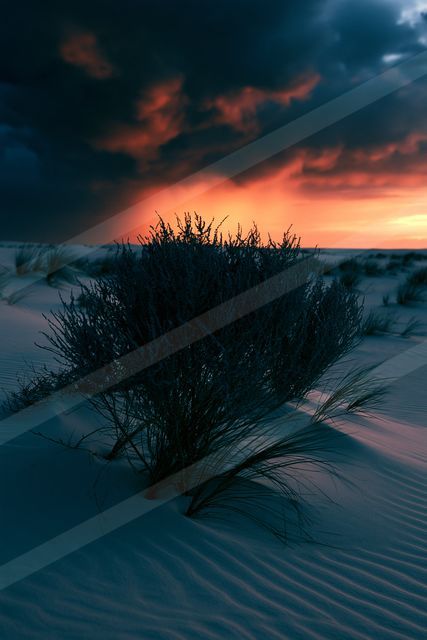 A blue hour high contrast landscape of a sand dune, sand.